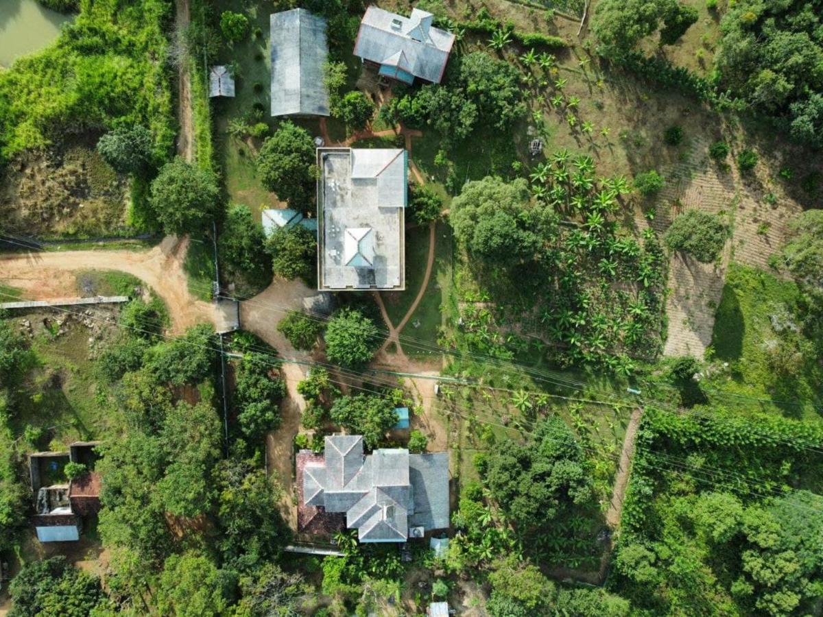 Green Hut Nature Resort シギリヤ エクステリア 写真