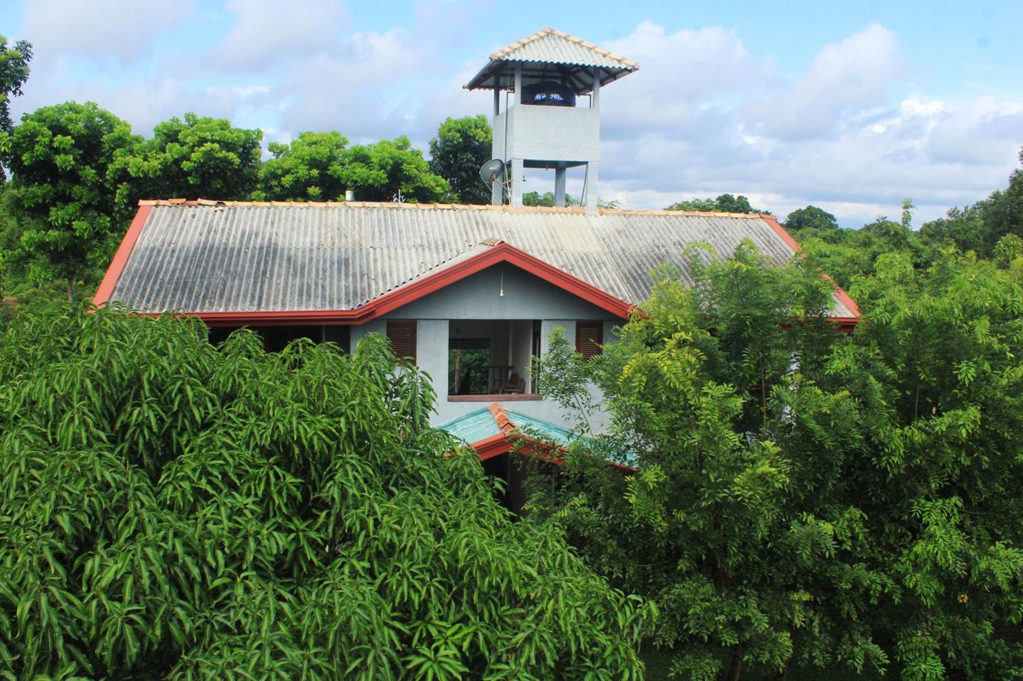 Green Hut Nature Resort シギリヤ エクステリア 写真