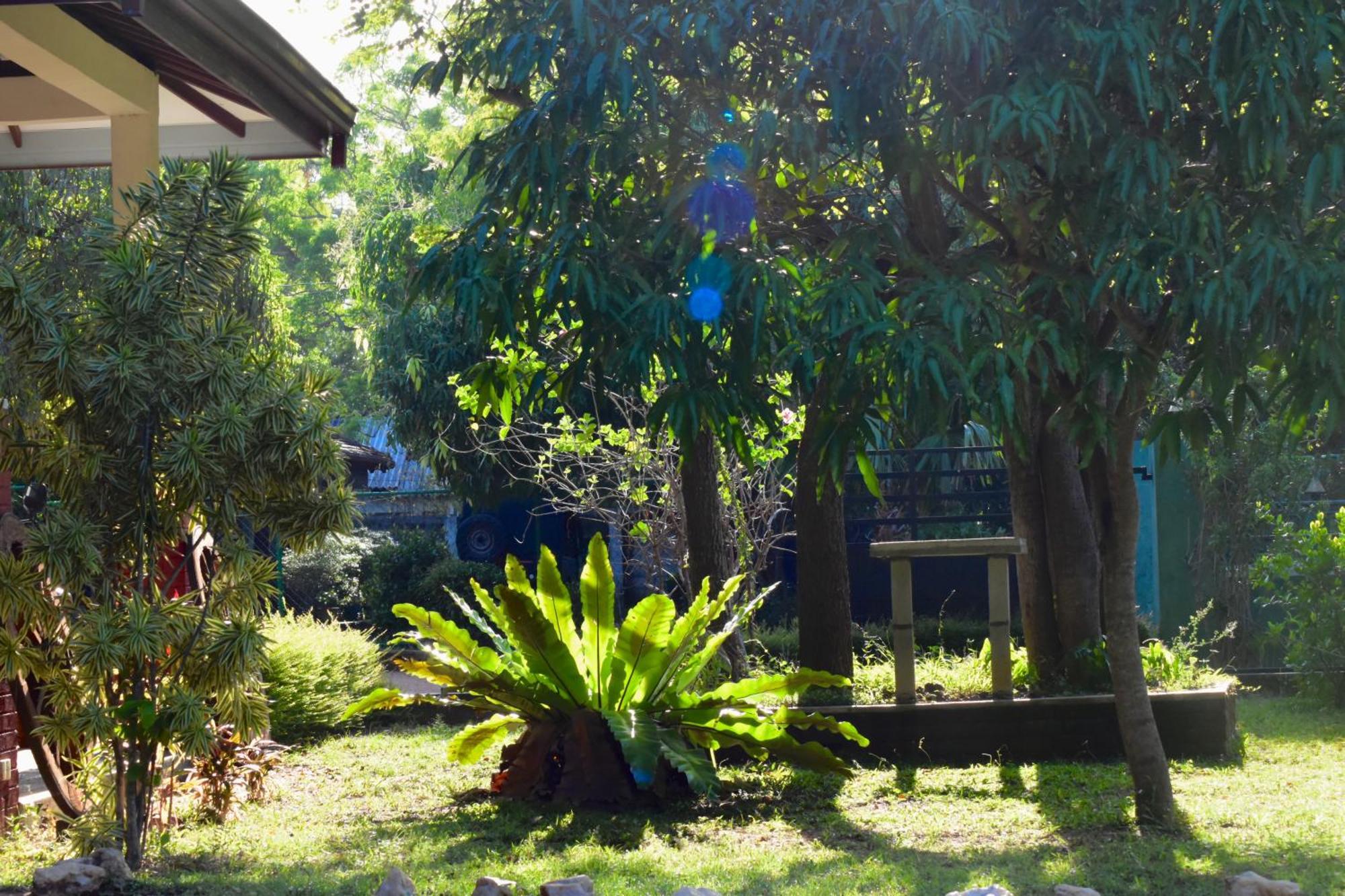 Green Hut Nature Resort シギリヤ エクステリア 写真